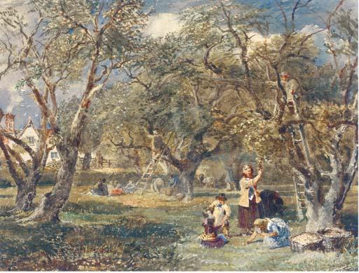 David Cox, Jun. - Harvesting Apples