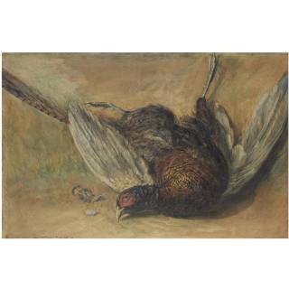 David Cox, R.W.S. - A Cock Pheasant