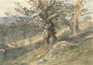David Cox, Sen., O.W.S. - Gnarled Oaks In Bolton Park, Yorkshire