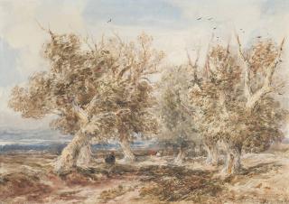 David Cox, Sen., O.W.S. - The edge of the forest