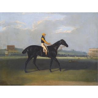David Dalby of York - Angler, A Dark Bay Racehorse With Jockey Up