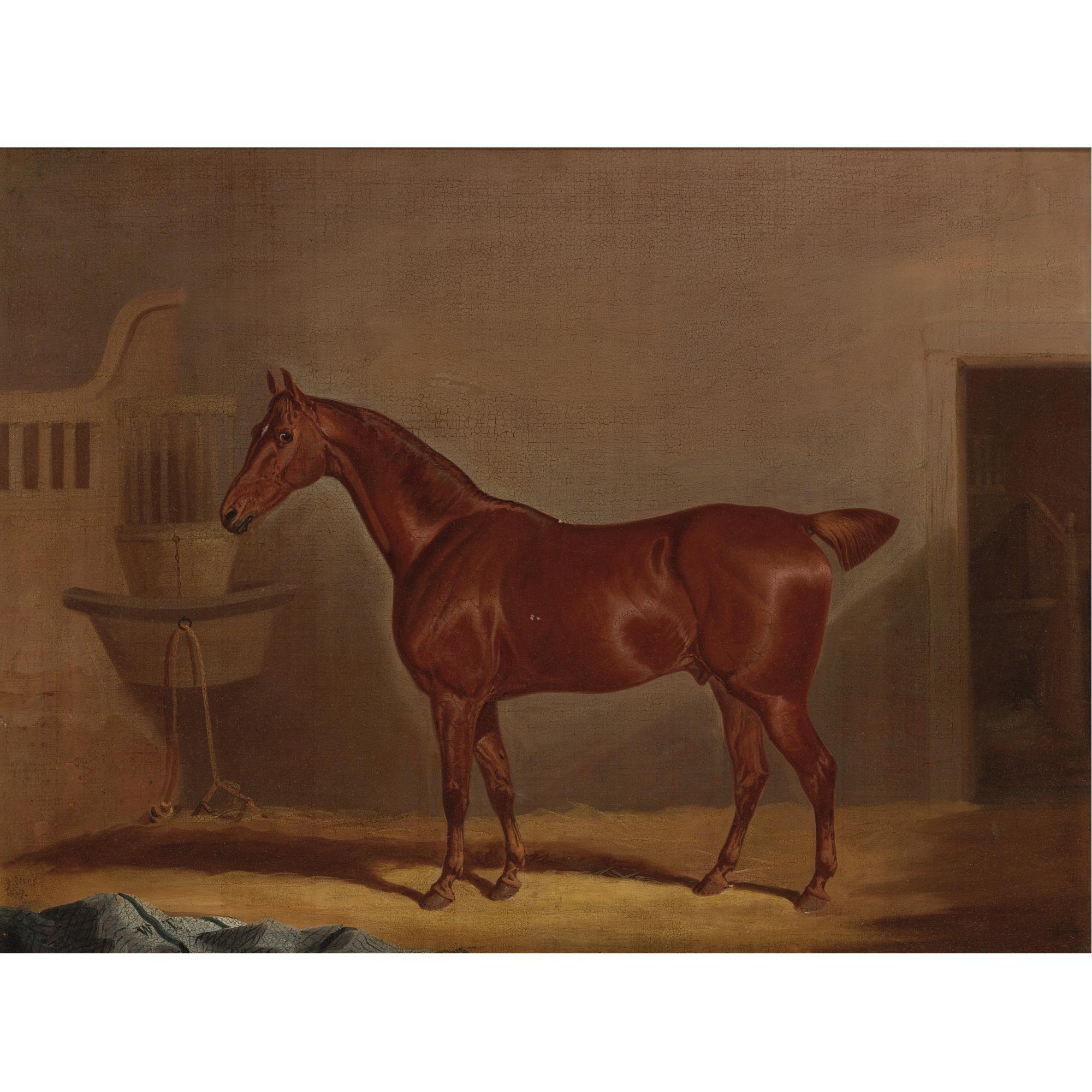 David Dalby of York - British A Chestnut Horse In A Loose Box