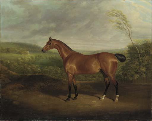 David Dalby Of York - Cock Robin, A Chestnut Hunter In A Wooded Landscape With A Mansion Beyond