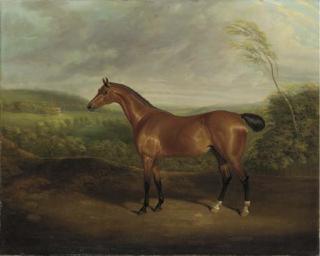 David Dalby Of York - Cock Robin, A Chestnut Hunter In A Wooded Landscape With A Mansion Beyond