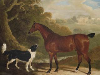 David Dalby - A chestnut hunter and Newfoundland dog in an extensive landscape, a country house beyond
