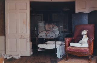David Dawson - \'Eli on the Red Chair\' - Inside Lucian Freud\'s studio