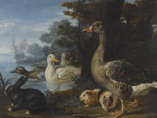 David De Coninck - A Cockerel, Hens, Doves And A Parrot In A Formal Garden Setting; Ducks, Guinea Pigs And A Rabbit In A Wooded Landscape Beside A Lake