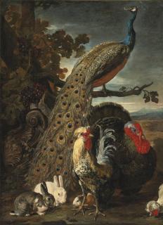 David De Coninck - A Peacock, Turkey, Rabbits, And Cockerel In A Landscape
