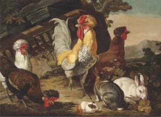 David De Coninck - Chickens, rabbits and a guinea-pig by classical ruins