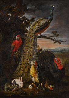 David De Coninck - Landscape With A Peacock, Parrot, Chicken, Turkey, Two Rabbits And A Guinea-Pig
