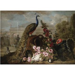 David De Coninck - Natura Morta Con Pavone, Coniglio E Tacchino