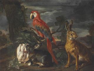 David De Coninck - Rabbits, A Hare, And A Scarlet Macaw