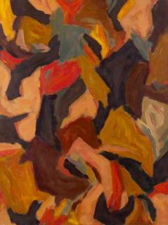 David Edward Aspden - Fleshscape