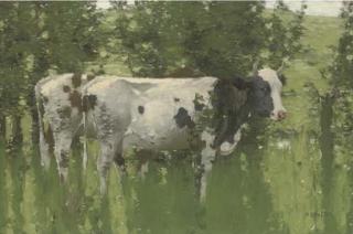 David Gauld, R.S.A. - Ayrshire cows