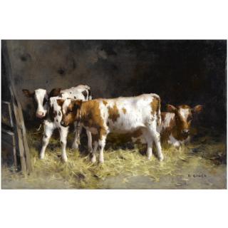 David Gauld, R.S.A. - Calves At Rest