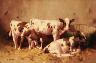 David Gauld, R.S.A. - Calves resting in a barn