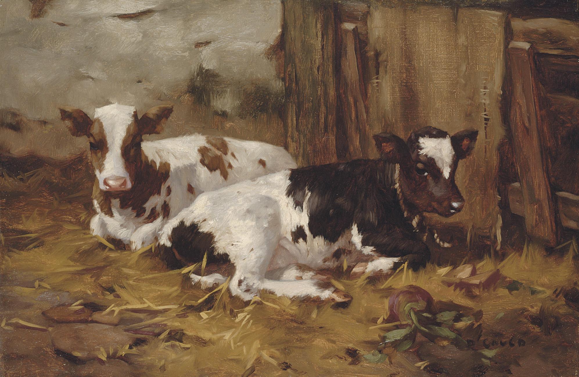 David Gauld, R.S.A. - Resting calves