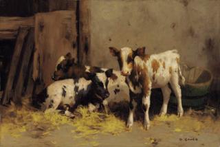 David Gauld, R.S.A. - Three Ayrshire Calves