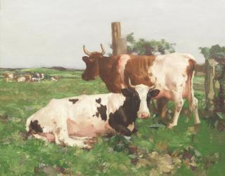 David Gauld RSA - Ayrshire Cattle