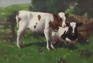 David Gauld RSA - Calves at rest