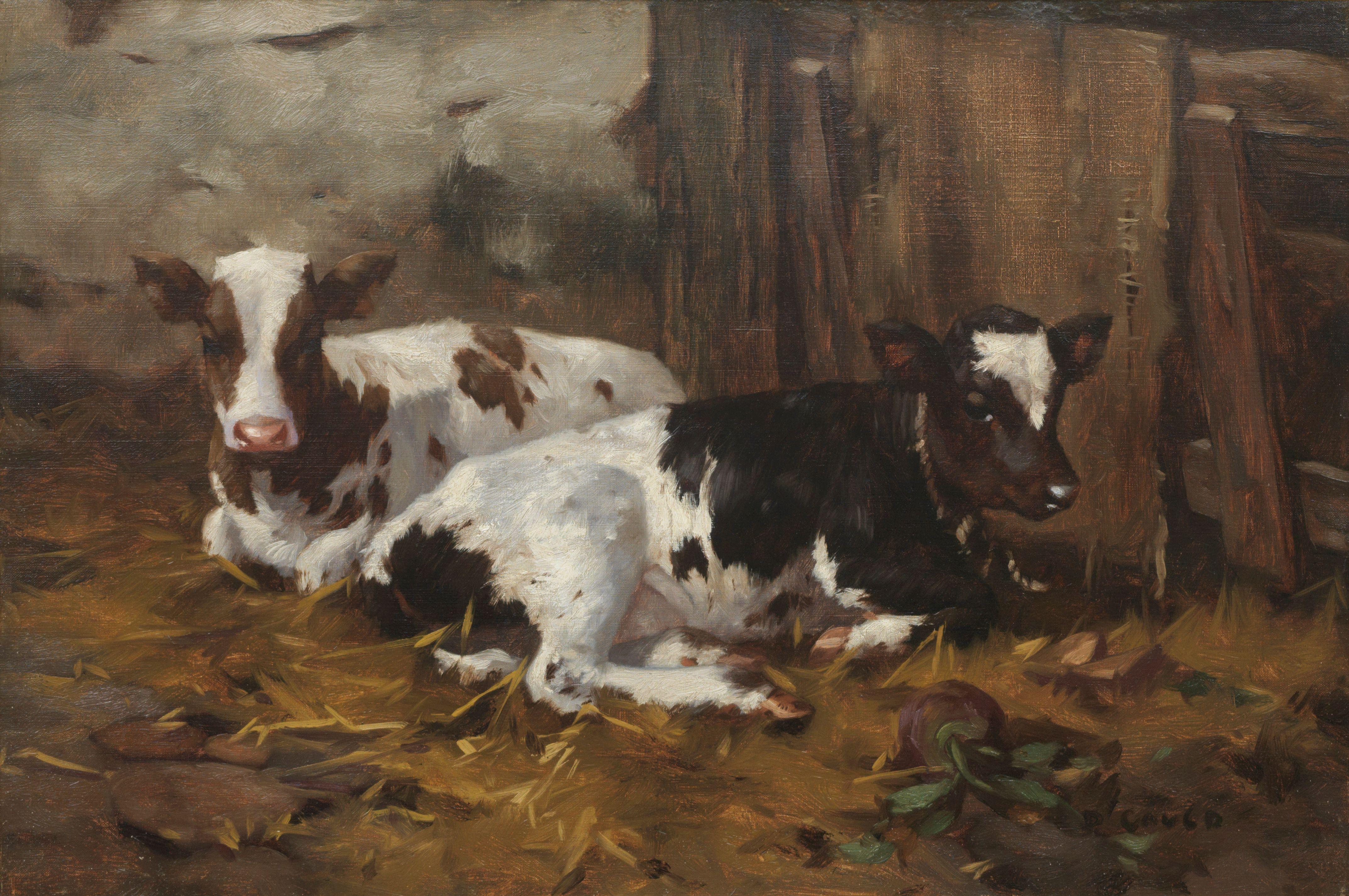 David Gauld RSA - Two calves