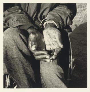 David Goldblatt - Particulars. Johannesburg: Goodman Gallery Editions, 2003.