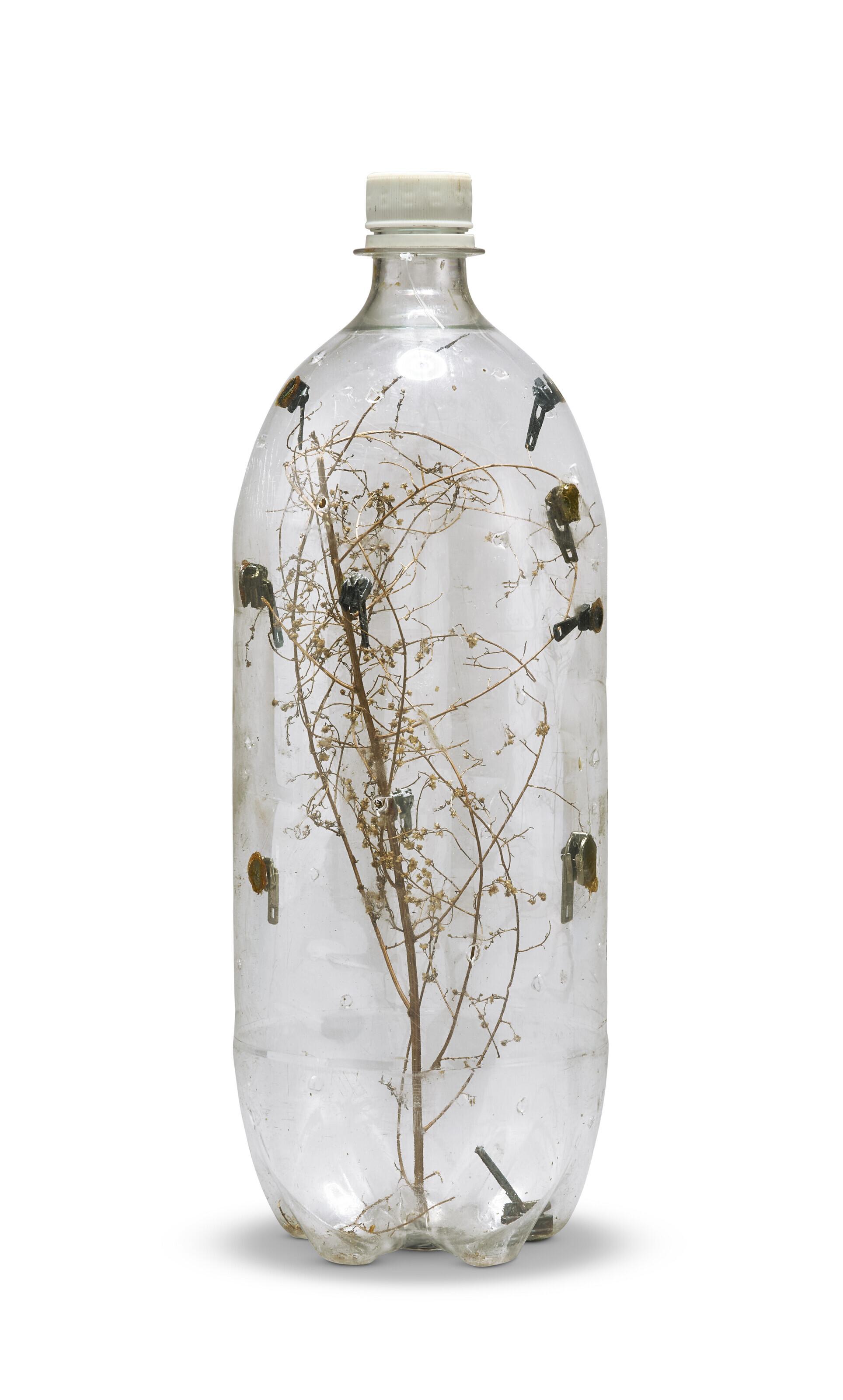 David Hammons - Flies in a Bottle