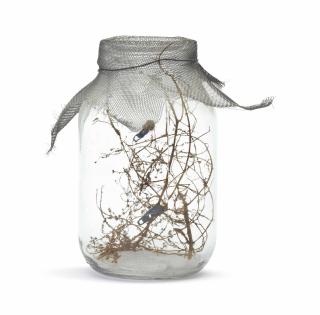 David Hammons - Fly Jar