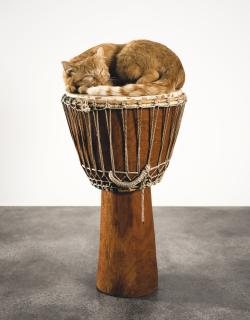 David Hammons - Standing Room Only