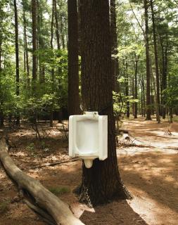 David Hammons - Toilet Tree