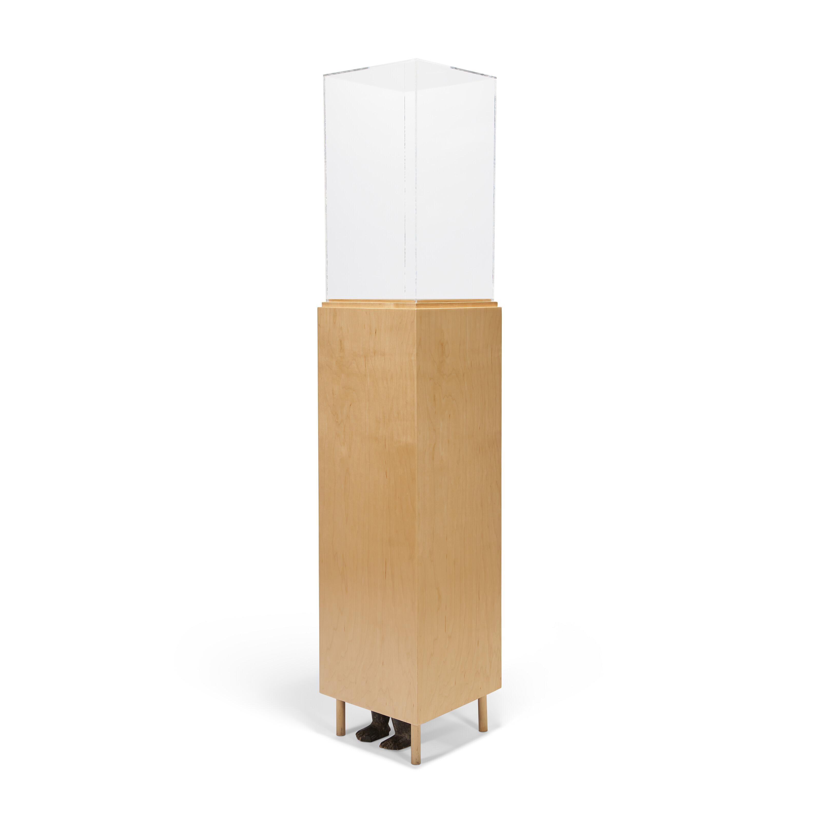 David Hammons - Untitled (Hidden from View)