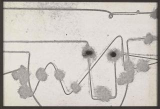 David Hammons - Untitled (Portrait of a Nude)