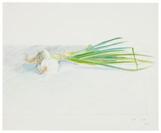 David Hockney, O.M., C.H., R.A. - Onions