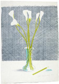 David Hockney, R.A. - Lillies (Scottish Arts Council 118)