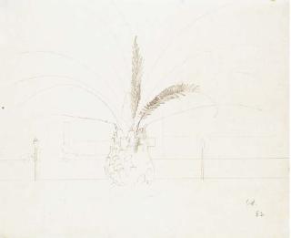 David Hockney, R.A. - Palm tree
