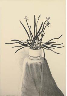 David Hockney RA - Potted Daffodils (T. 259)