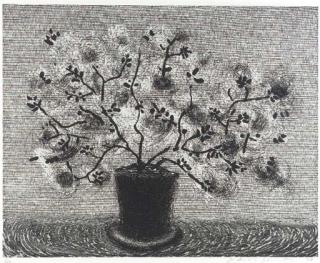 David Hockney - Black Wire Plant (P. 4)