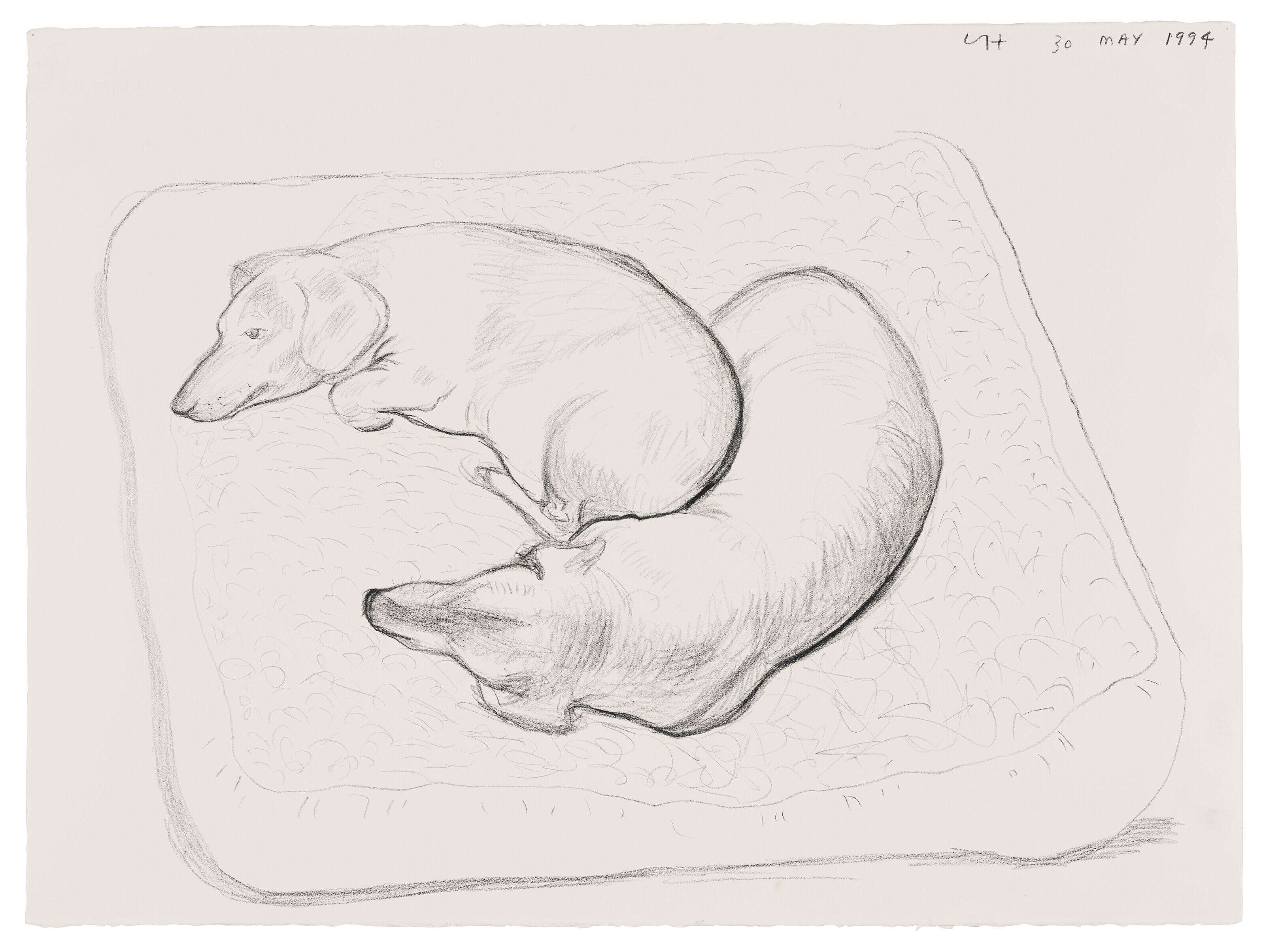 David Hockney - Boodgie and Stanley, 30 May 1994