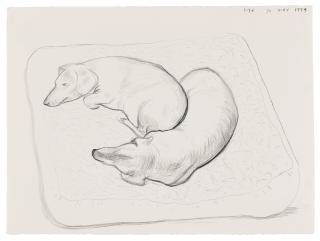 David Hockney - Boodgie and Stanley, 30 May 1994