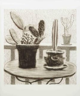 David Hockney - Cacti on terrace