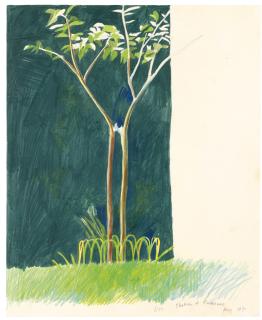 David Hockney - Chateau De Carennac