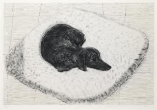 David Hockney - Dog Etching No. 10, From Dog Wall