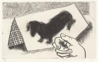 David Hockney - Dog Etching No. 13, from Dog Wall