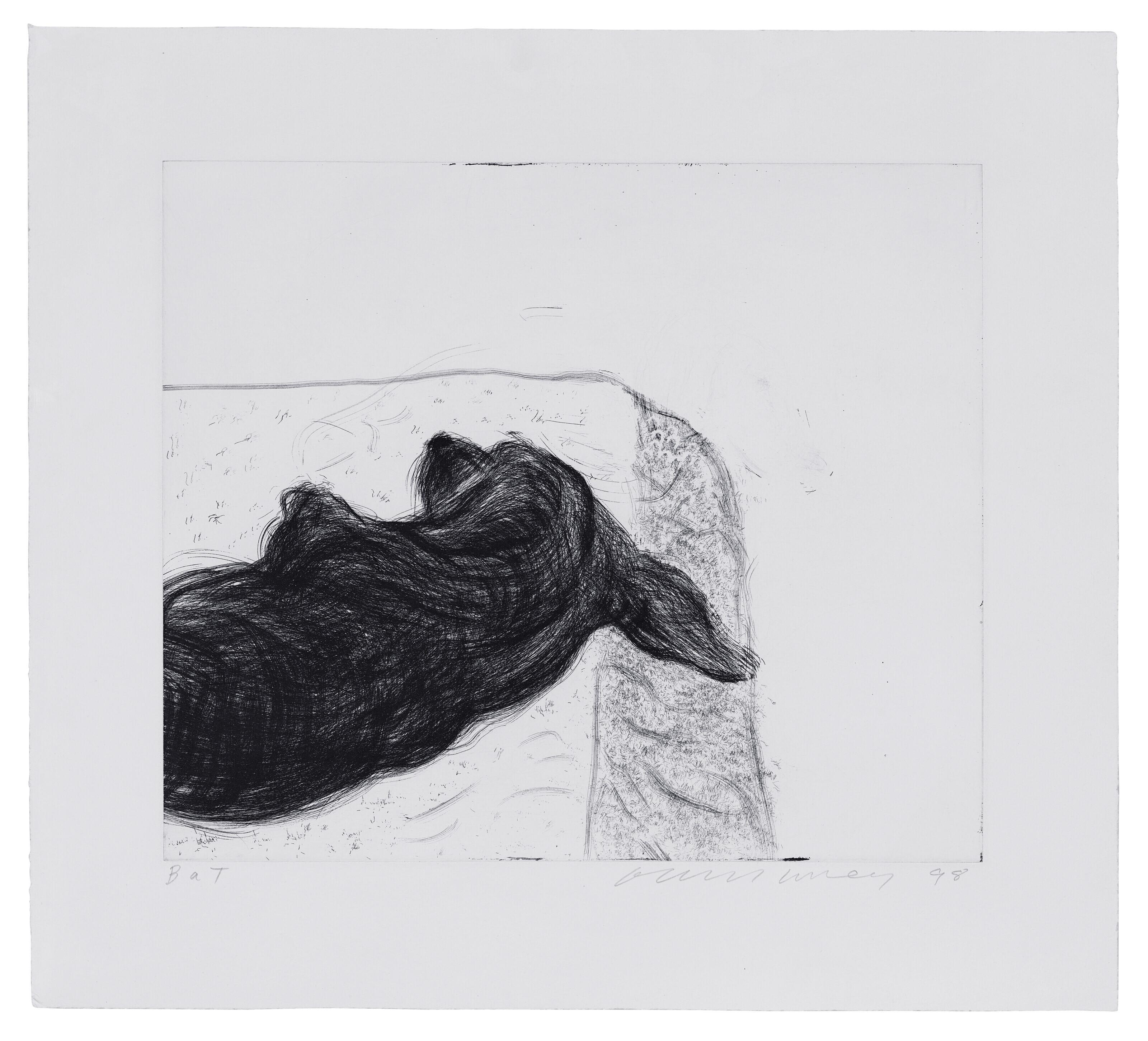 David Hockney - Dog Wall: one plate