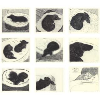David Hockney - Dog Wall