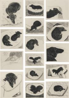 David Hockney - Dog Wall