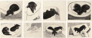 David Hockney - Dog Wall