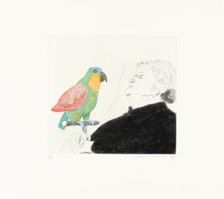 David Hockney - Félicité sleeping, with parrot