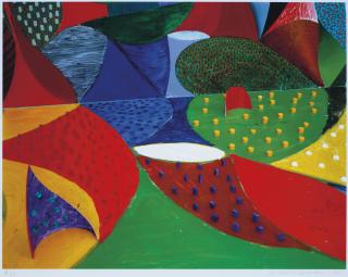 David Hockney - Fifth Detail SNAILS SPACE March 27th 1995, from 20 Photographs (M.C.A.T. 359)