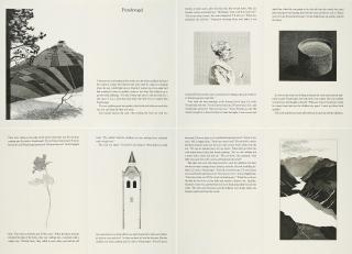 David Hockney - Fundevogel.